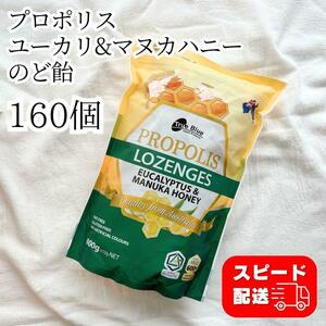 プロポリス ユーカリ マヌカハニー のど飴 800g 160個 一袋 コストコ キャンディ のどあめ はちみつ 蜂蜜 全量 大人気