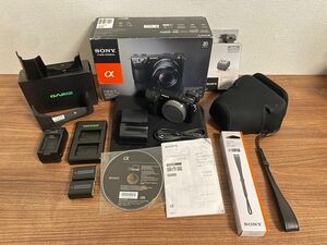 SONY NEX-7 GARIZ 純正 本革ケース ストラップ バッテリー 充電器付