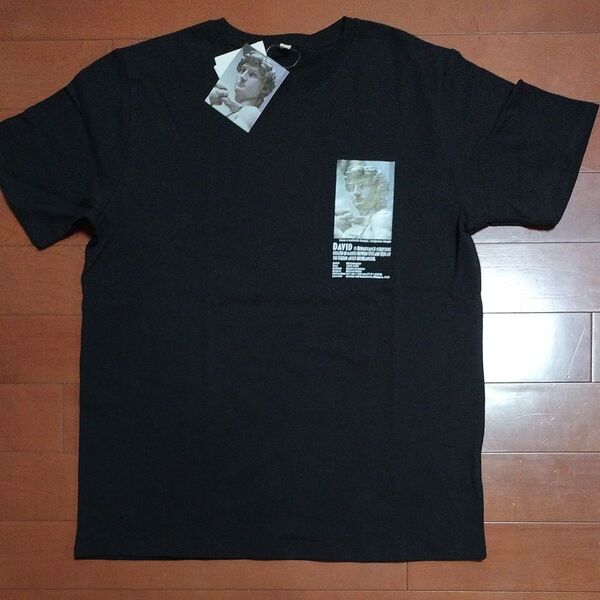 メンズ 半袖Tシャツ L