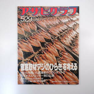 アサヒグラフ 1987年5月29日号／沼津・アジのひらき 百恵御殿 星誕期 東京湾 ウラジオストク ライオネル・リッチー 御巣鷹山 井筒紫乃