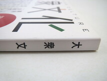 大衆文化 2009年9月号（第2号）落合教幸 有本真紀 舌津智之 D坂の殺人事件 学校唱歌 流行歌とアラビア表象 貸本屋と読書サークル 台湾_画像3