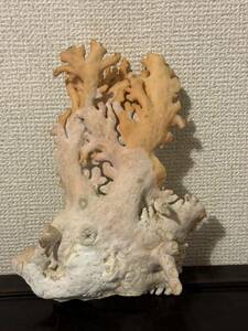 天然珊瑚 原木 桃珊瑚 置物 飾り物 重さ約438g
