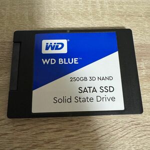 WesternDigtal 2.5インチ SSD WDC WDS250G2B0A-00SM50 : 250.0 GB