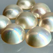 ◆マベパール8点おまとめ◆m 約15.3~16.4mm 20g/100ct pearl パール 半円真珠 ジュエリー jewelry 裸石 宝石_画像2