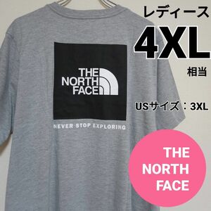 ノースフェイス　ボックスロゴ　スクエアロゴ　Tシャツ　グレー4XL相当　THE NORTH FACE