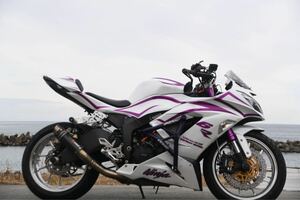 ZX6R ef オールペン ゲイルスピードタイプR ポリッシュ 車検あり 