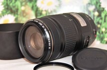 美品☆Canon EF 75-300mm IS USM☆超望遠☆人気望遠☆_画像1