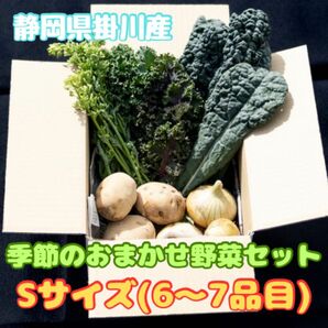 季節の野菜Sセット(6〜7品目)