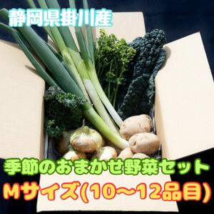 季節の野菜セットMサイズ(10〜12品目)