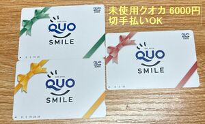 ◇◆◇切手払いOK（額面通り、割増なし）QUOカード　未使用 クオカード6000円分 ◇◆◇