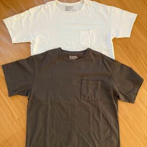 SANDINISTA Tシャツ 2枚セット EASY FIT サイズM nonnative/ノンネイティブ THINGS FABRICS YSTRDY'S TMRRW/イエスタディズ トゥモロウ