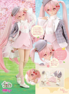  dollar pa51 new work DD dress costume Sakura Miku . flower see ko-te set unopened Hatsune Miku Dollfie Dream Dollfie Dream SD balk sVolks