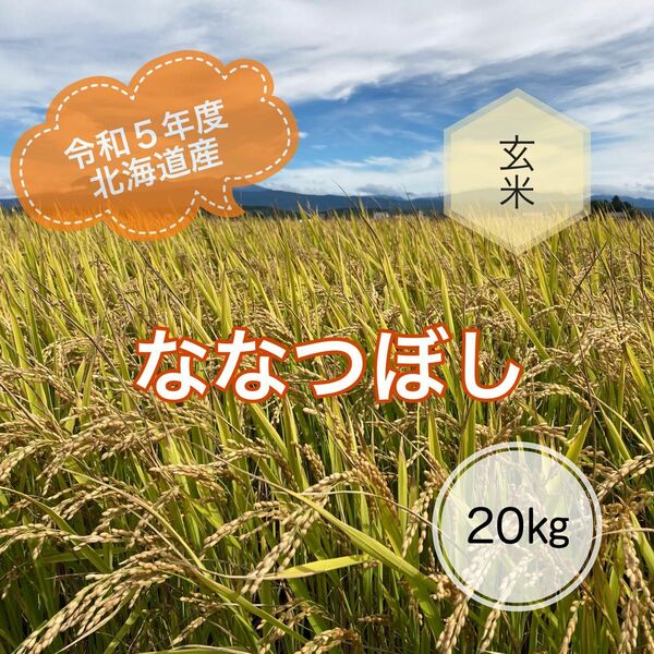 令和5年度北海道産ななつぼし玄米20キロ農家直送 