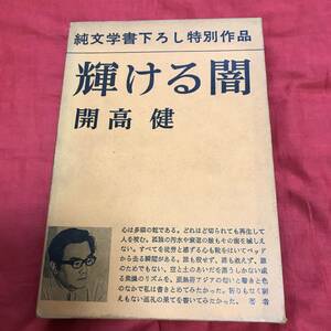 輝ける闇　開高健　新潮社