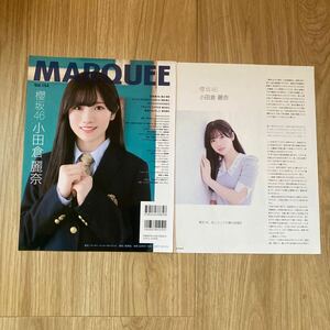 櫻坂46 小田倉麗奈　グラビア切抜12P