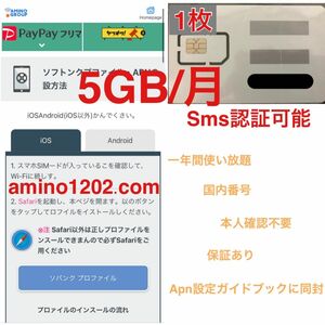 プリペイドSIMカード 毎月5GB SMS受信可 データSIM SMS認証