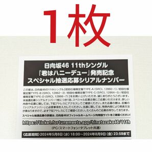 日向46 君はハニーデュー スペシャル抽選応募 シリアルナンバー 1枚