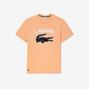 新品　LACOSTE ラコステ　半袖Tシャツ　カレッジプリントTシャツ　シャーベット 