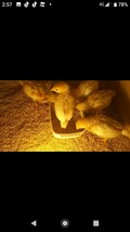 ボリスブラウン 鶏 有精卵10個(赤玉の王様)_画像5