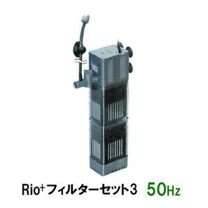 カミハタ リオプラスパワーヘッド Rio+フィルターセット3 50Hz 2点目より700円引