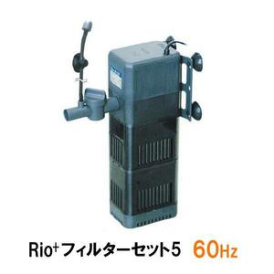 カミハタ リオプラスパワーヘッド Rio+フィルターセット5 60Hz 2点目より700円引