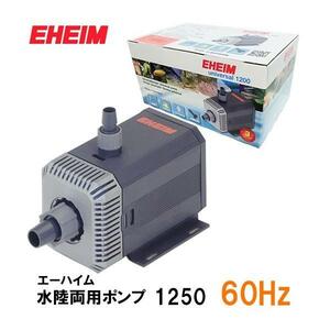 ve- high m circulation pump water land both for pump 1250 60Hz fresh water * sea water both for 2 point eyes ..400 jpy discount 