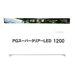 niso-PG super clear LED 1200 free shipping ., one part region except same one commodity purchase 2 point eyes ..700 jpy discount 