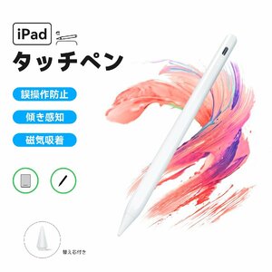 タッチペン スタイラスペン iPad ペンシル 極細 iPad Air mini Pro 11 12.9インチ 充電式 超高感度 パームリジェクション
