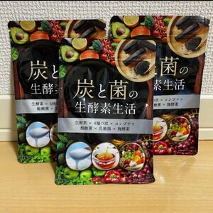 炭と菌の生酵素生活 3袋 生酵素 コンブチャ 4種の炭 90日分