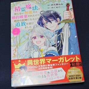 精霊魔法が使えない無能だと婚約破棄されたので、義妹の奴隷になるより追放を選びました　２ （集英社ガールズコミックス） 