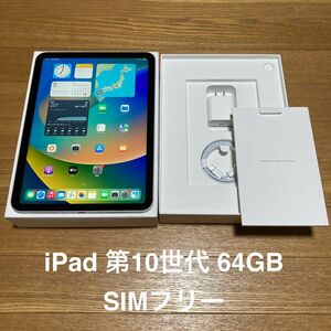 iPad 第10世代 64GB Silver SIMフリー