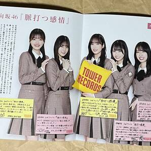 日向坂46 君はハニーデュー CD Type-A 正源司陽子 小坂菜緒 金村美玖 齊藤京子 加藤史帆 河田陽菜 佐々木久美 藤嶌果歩 上村ひなの 生写真の画像7