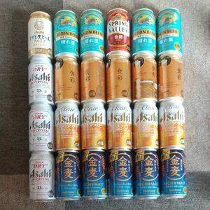 48本ビール詰め合わせ スプリングバレー 食彩 マルエフ ドライクリスタル 一番搾り晴れ風 クリアアサヒ 金麦 発泡酒 まとめ売り