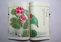 江戸古籍　植物図譜　『本草図譜』　復刻版　全92冊中65冊　岩崎灌園著　同朋舎出版　昭和56年　限定700部_画像6