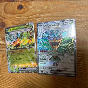 ポケモンカードゲーム 変幻の仮面 オーガポン みどりのめんex