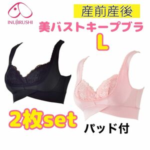 犬印 パッド付美バストキープブラ 授乳ブラ マタニティブラ L 2枚セット