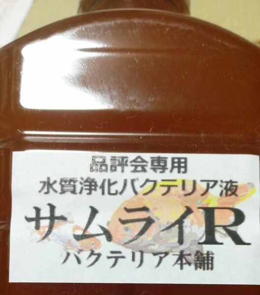 高濃度バクテリア　サムライR　60ml　バクテリア本舗