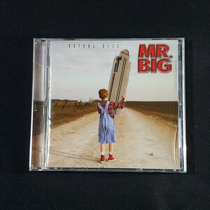 Mr. Big[ Actual Size]/CD/#YECD2818