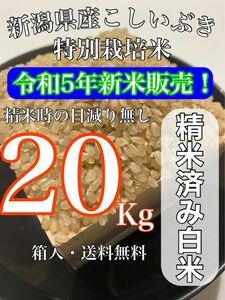 【農家直送新米！】精米済み 20キロ 新潟県産こしいぶき 特別栽培米 5年産 低温冷蔵