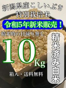 【農家直送新米！】精米済み 10キロ 新潟県産こしいぶき 特別栽培米 5年産 低温冷蔵
