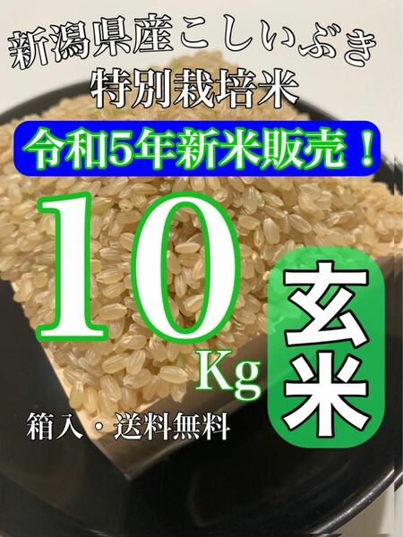 【農家直送新米！】玄米10キロ 新潟県産こしいぶき 特別栽培米 5年産 低温冷蔵貯蔵