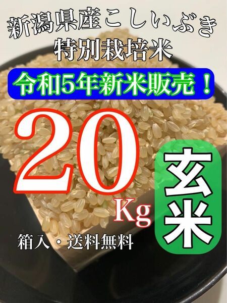 【農家直送新米！】玄米20キロ 新潟県産こしいぶき 特別栽培米 5年産 低温冷蔵貯蔵
