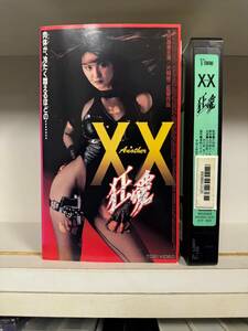 東映Vシネ　XX（ダブルエックス）　大沢逸美