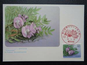  Maximum card 1985 year [ Alpine plants series ] no. 3 compilation oyamano end u Tokyo centre / Showa era 60.1.25 MC card 