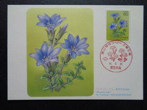  Maximum card 1985 year [ Alpine plants series ] no. 5 compilation Miyama Lynn dou Tokyo centre / Showa era 60.7.31 MC card 