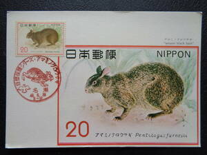  Maximum card 1974 year [ nature protection series ]ama rumen black rabbit name ./ Showa era 49.8.30 MC card 