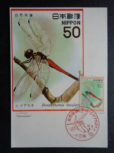  Maximum card 1977 year [ nature protection series ]sima red ne small ../ Showa era 52.9.14 MC card 