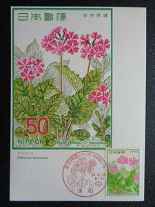 Maximum card 1978 year [ nature protection series ] Sakura saw . peace / Showa era 53.4.12 MC card 