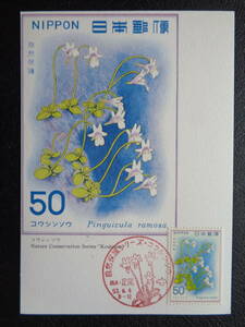  Maximum card 1978 year [ nature protection series ]ko cow n saw pair tail / Showa era 53.6.8 MC card 