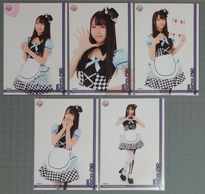 SKE48 杉本りいな 生写真 SKE48 family Vol.08 A-Type